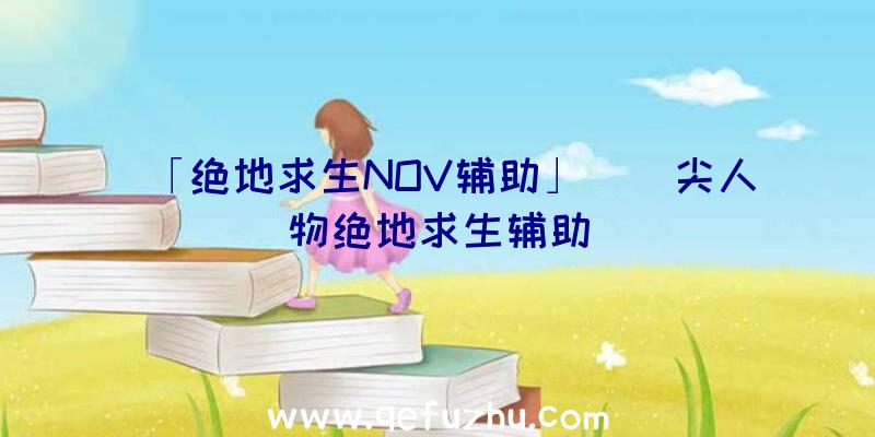 「绝地求生NOV辅助」|嵿尖人物绝地求生辅助